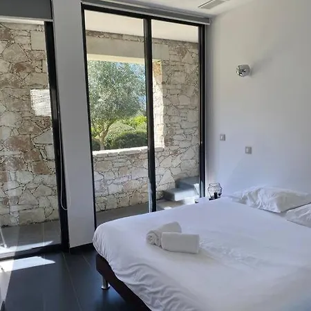D Architecte Spinelli