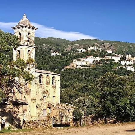 D Architecte Spinelli * Oletta (Corsica)